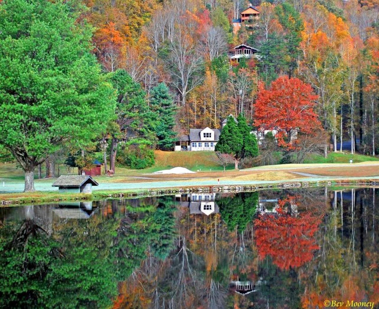 Romantic, Honeymoon Cabin In The Smokies! Gatlinburg Zewnętrze zdjęcie